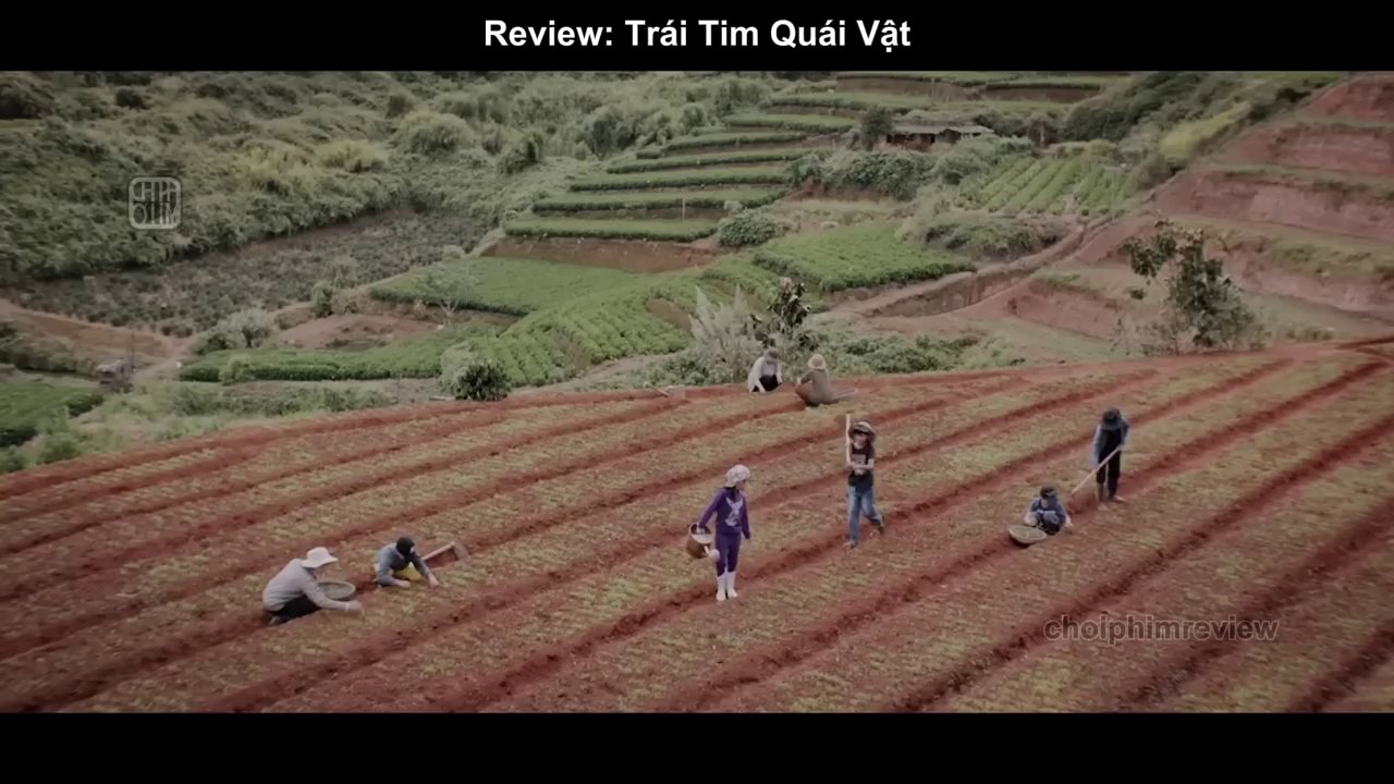 Tấm Khăn Đỏ Và Những Bí Ẩn Chết Người: Hành Trình Đối Mặt Với Quá Khứ Trong Một Bộ Phim Đầy Ám Ảnh