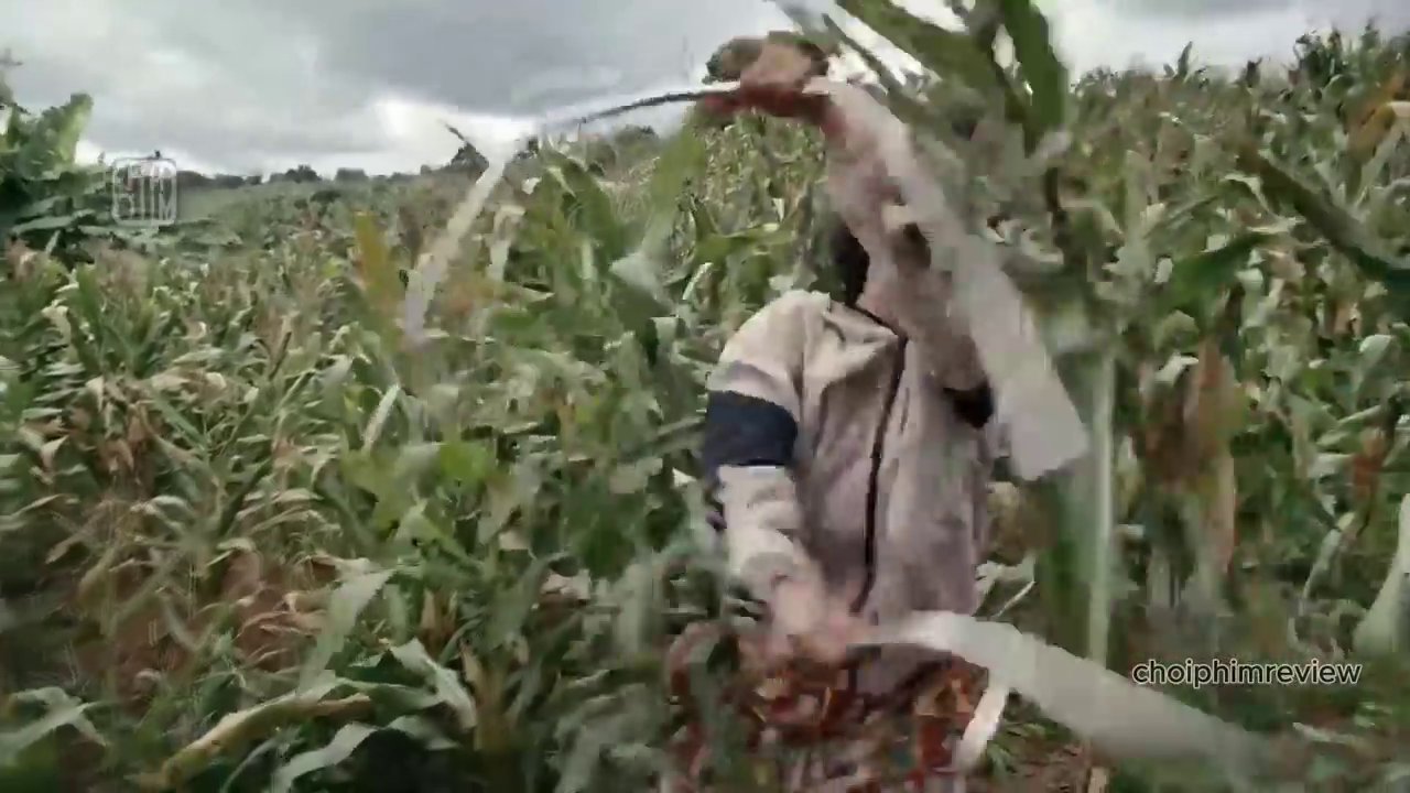 Chiếc xe của nạn nhân Mai bị tháo dỡ và cất giữ tại một nơi hoang vắng.