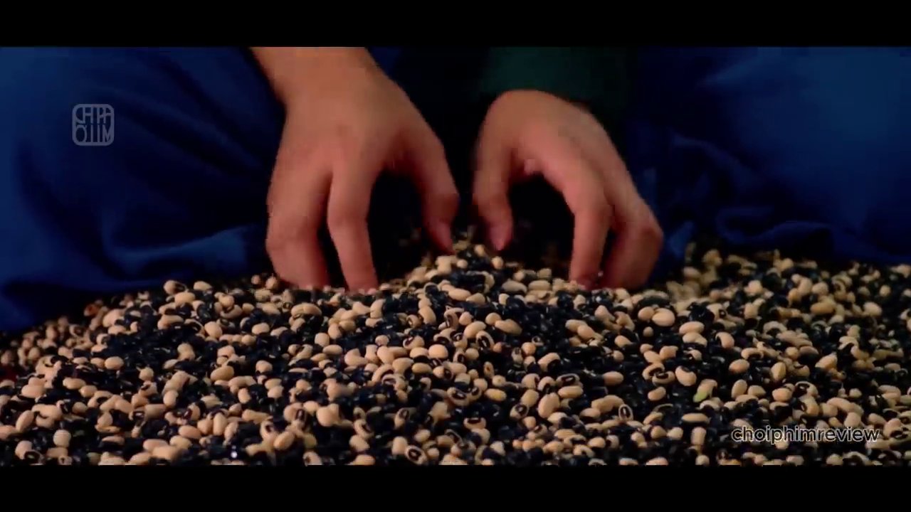 Khoảnh khắc Tấm xỏ chân vào chiếc hài vừa như in, xác định thân phận và đoàn tụ với Thái tử trước sự chứng kiến của muôn dân.