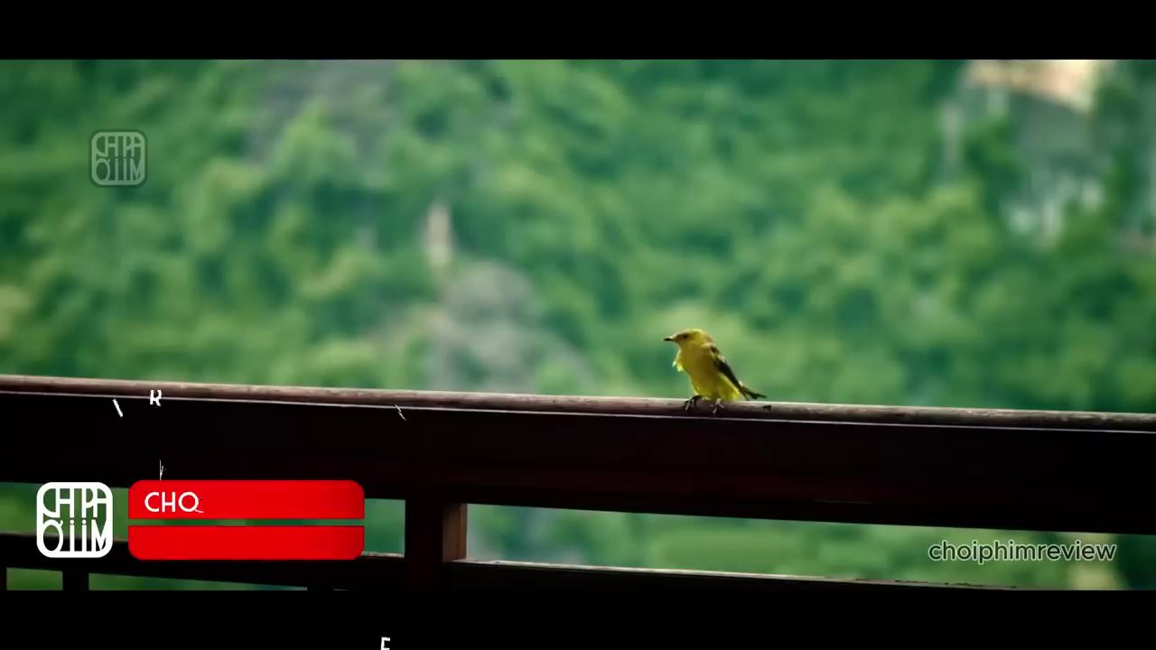 Cảnh kết phim ấm áp với hình ảnh Thái tử (giờ là Hoàng đế) và Tấm (Hoàng hậu) bên nhau, sau một hành trình dài đầy thử thách.